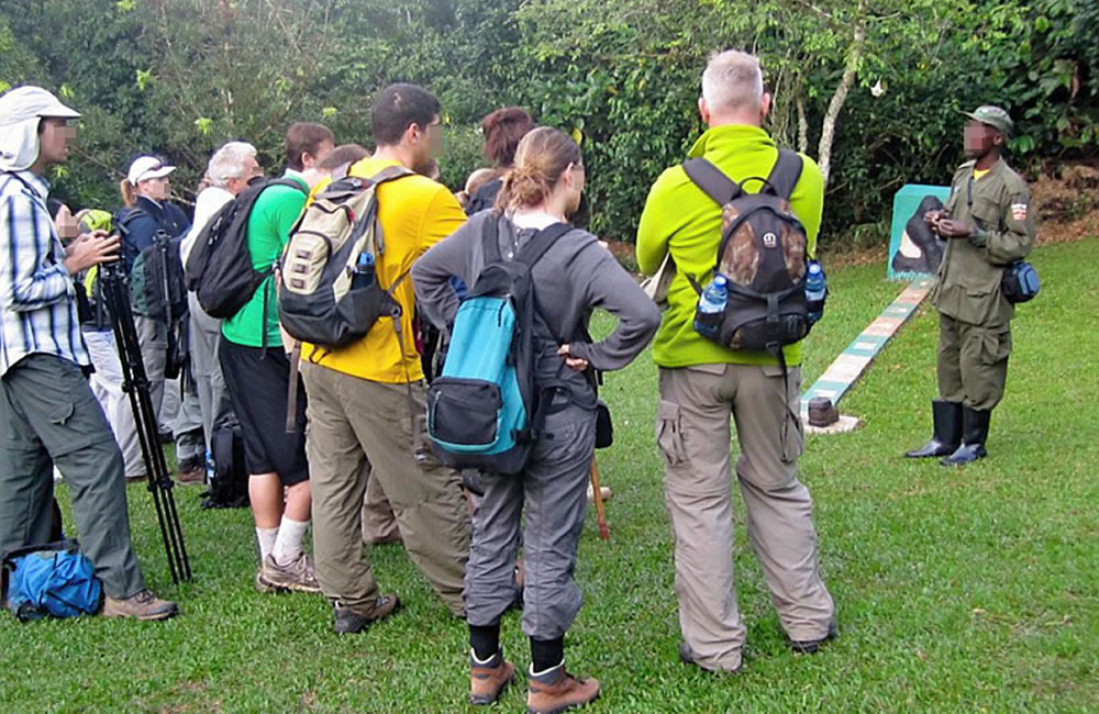 7 Meter Gorilla Trekking Rule